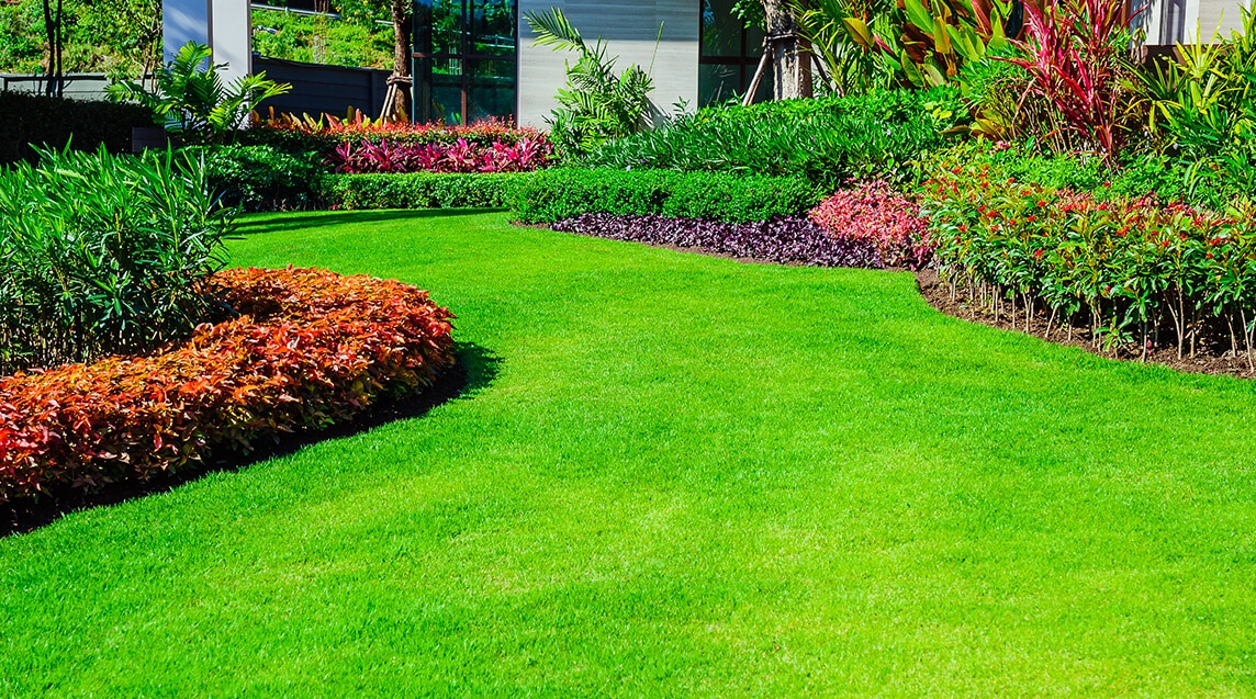 a very clean lawn care by riverwood team