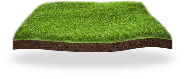 a grass field with a layer of soil.