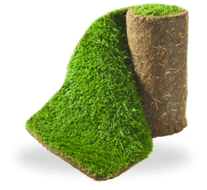 a roll of turf next to a roll of wood.