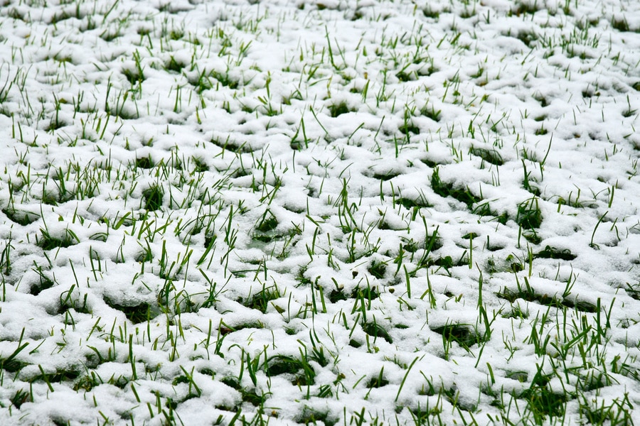 a field covered in snow and green grass.