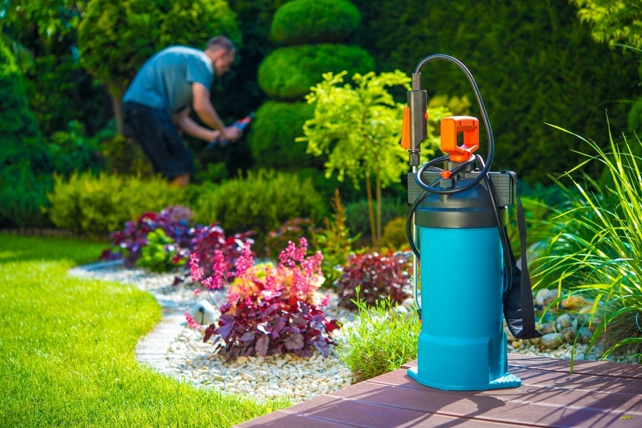 a man is watering the garden with a blue sprayer.
