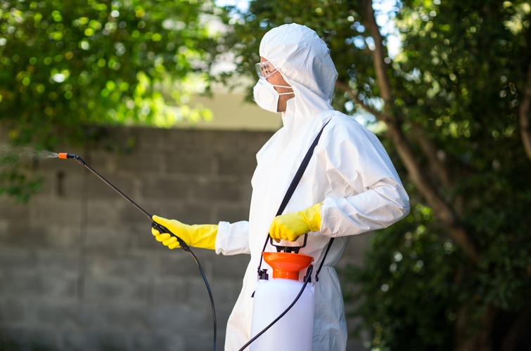 a person in a white suit spraying a tree with a sprayer.