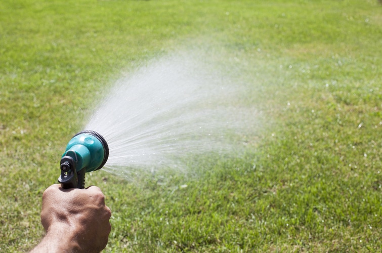 a person spraying water on a green lawn.