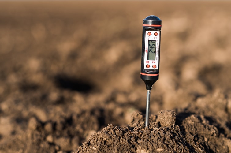 a thermometer sitting on top of a pile of dirt.