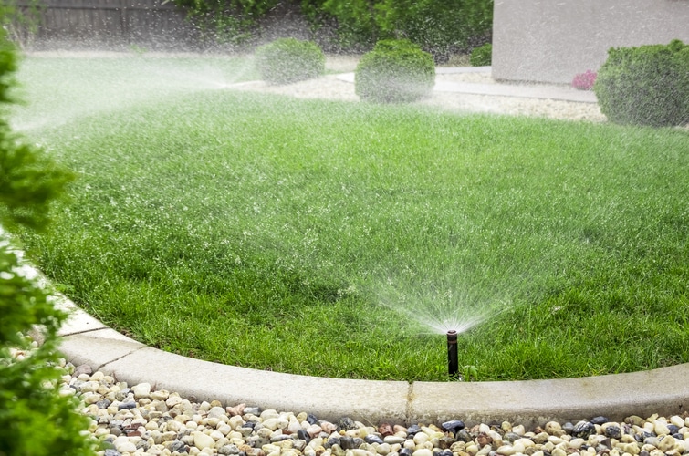 a sprinkle is spraying water on a lawn.