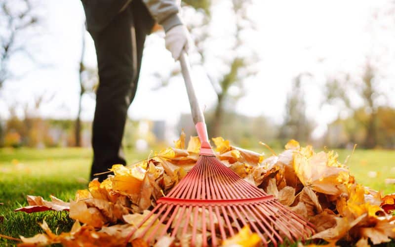 a person is sweeping leaves with a red rake.
