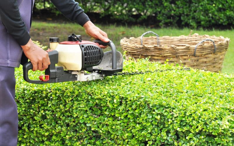 a man is trimming a hedge with a hedge trimmer.