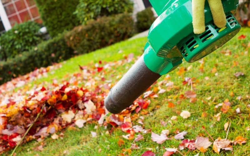 Fall Cleanup of Yard Debris and Dead Plants