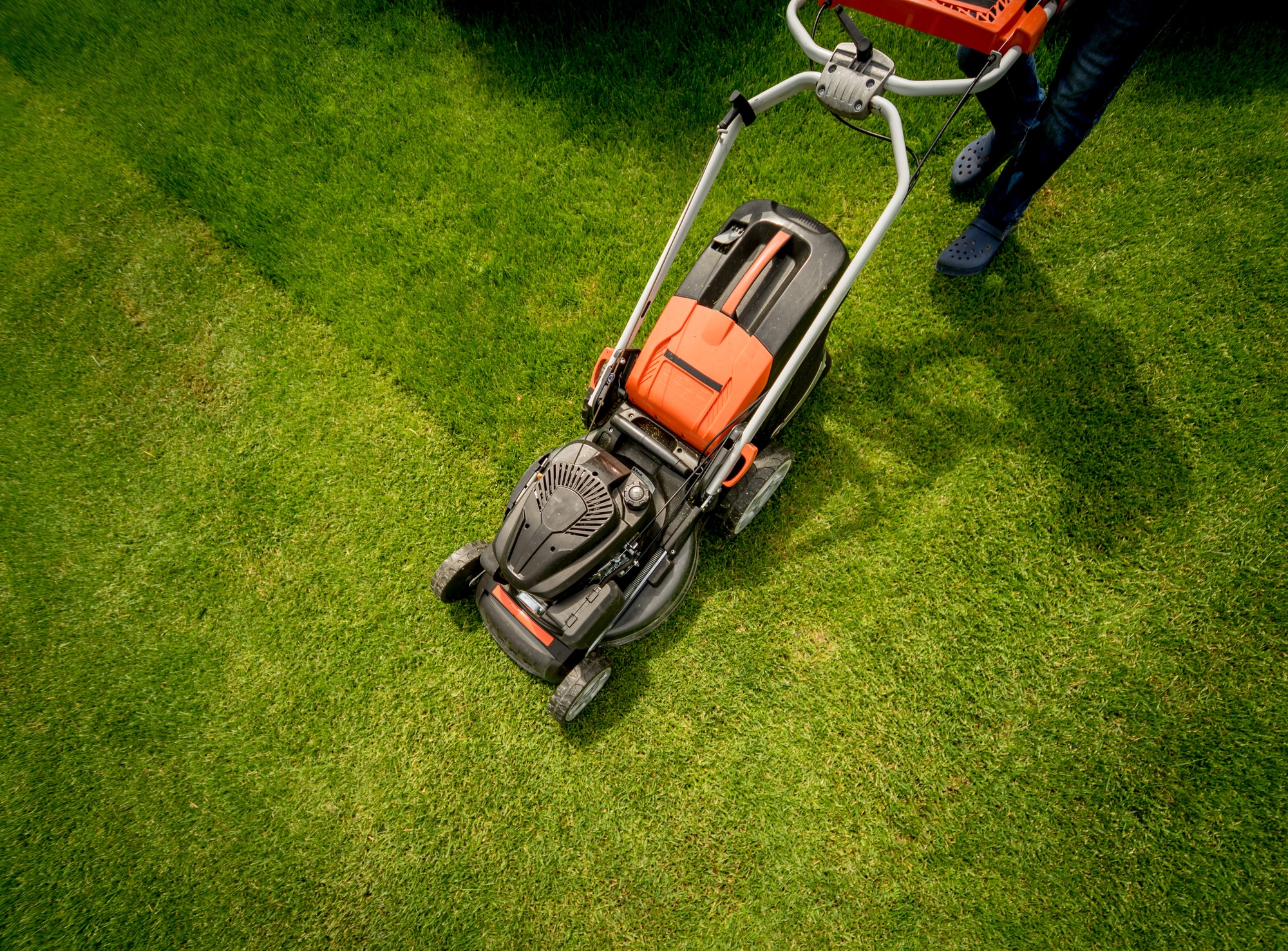 How Does Regular Lawn Care Prevent Installation Mistakes?