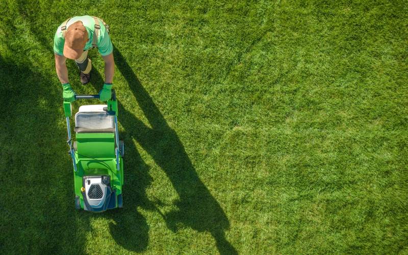A man is mowing the lawn with a green lawn mower.