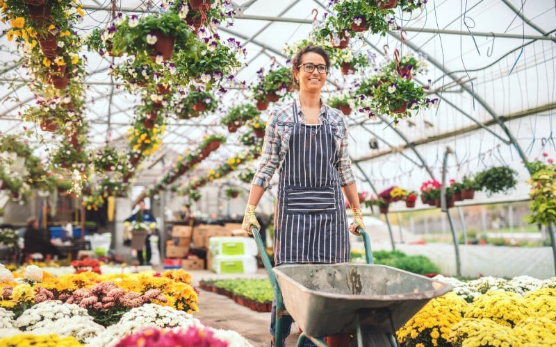 smiling beautiful caucasian florist pushing empty wheelbarrow greenhouse interior
