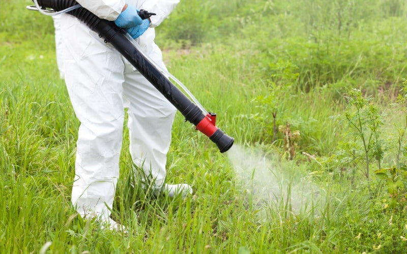 man-in-protective-workwear-spraying-herbicide on ragweed weed control