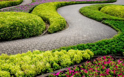 a garden with a winding path surrounded by flowers.